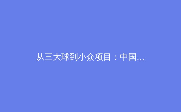 从三大球到小众项目：中国体育产业生态的深度变革与机遇